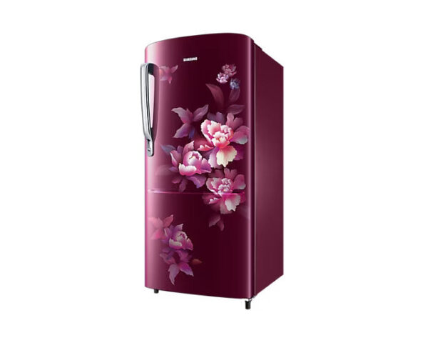 Samsung 183L Stylish GrandÃ© Design 4 Star Single Door Refrigerator RR20C1724HN - Image 4