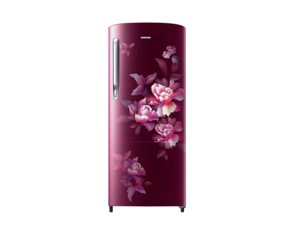 Samsung 183L Stylish GrandÃ© Design 4 Star Single Door Refrigerator RR20C1724HN - Image 2