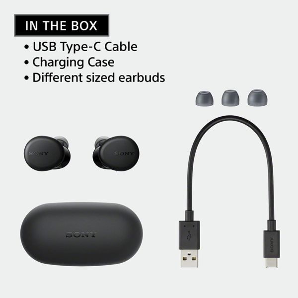 Sony WF-XB700 Truly Wireless Extra Bass Bluetooth,Earbuds with Mic, Quick Charge - Image 5